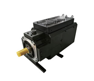 驱动集成一体式伺服电机