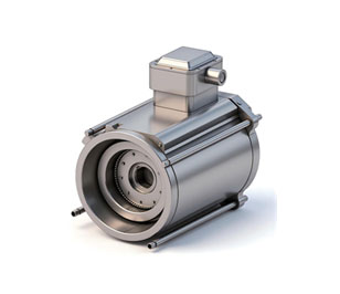 全密封水冷感应电机（悬臂式）